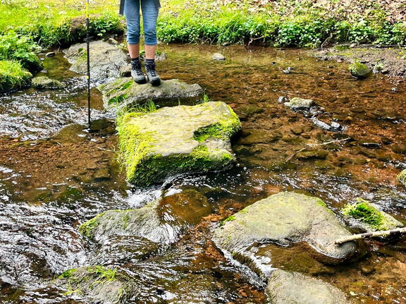 23-04-30 10-39-52 5228